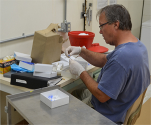 Andy Witherall working on a molecular project.