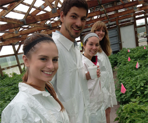 New staff member Sean Topek and Student Hourlies (bottom to top: Molly Mortiz, Erin Hutchins, Rebecca Cowen).