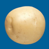 Lamoka